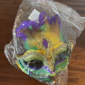 Mardi Gras mask & boa